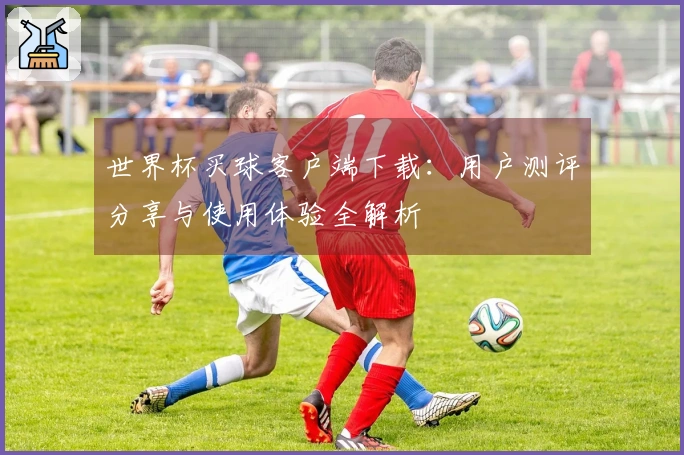 世界杯买球客户端下载：用户测评分享与使用体验全解析