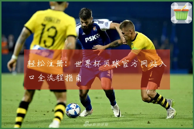 轻松注册：世界杯买球官方网站入口全流程指南