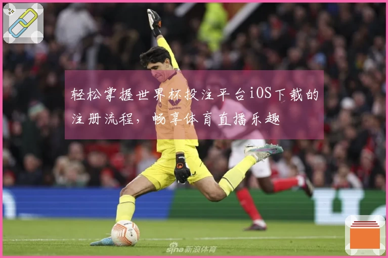 轻松掌握世界杯投注平台iOS下载的注册流程，畅享体育直播乐趣