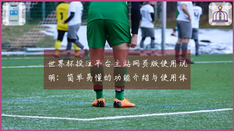 世界杯投注平台主站网页版使用说明：简单易懂的功能介绍与使用体验分享