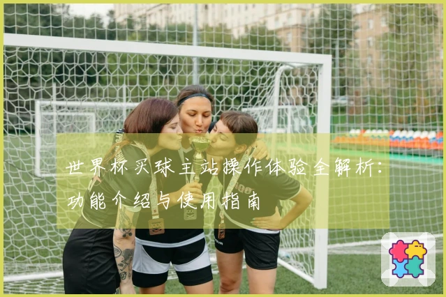 世界杯买球主站操作体验全解析：功能介绍与使用指南