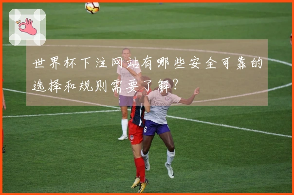 世界杯下注网站有哪些安全可靠的选择和规则需要了解？