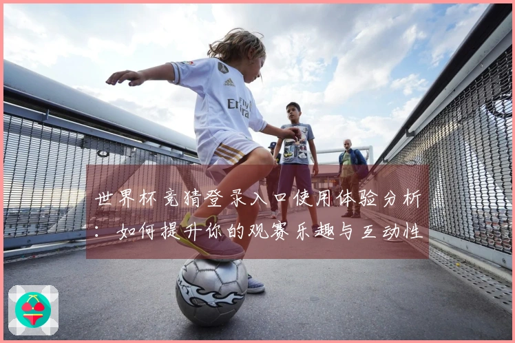 世界杯竞猜登录入口使用体验分析：如何提升你的观赛乐趣与互动性