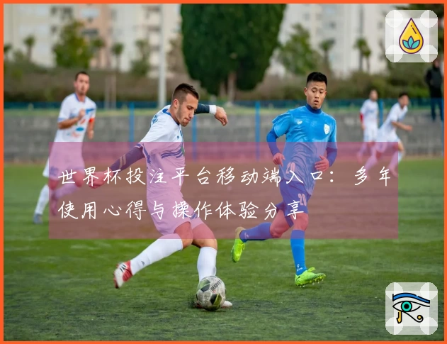 世界杯投注平台移动端入口：多年使用心得与操作体验分享