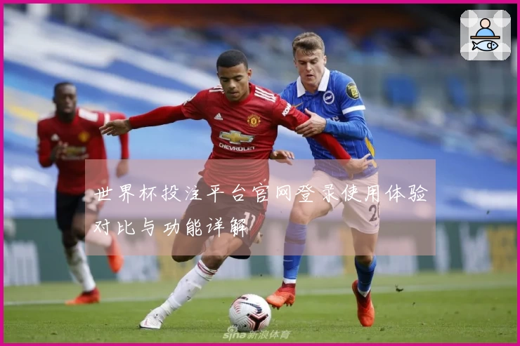 世界杯投注平台官网登录使用体验对比与功能详解