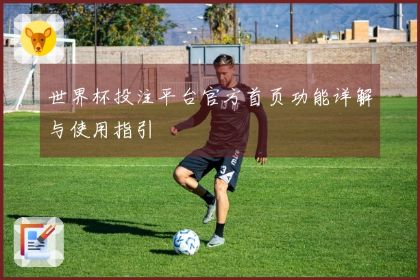 世界杯投注平台官方首页功能详解与使用指引