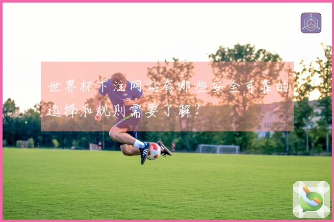 世界杯下注网站有哪些安全可靠的选择和规则需要了解？