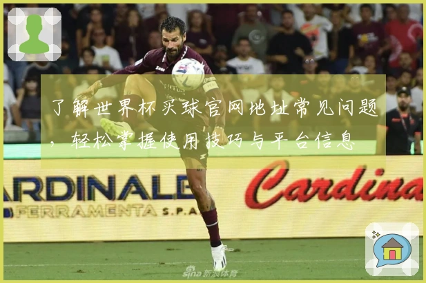 了解世界杯买球官网地址常见问题，轻松掌握使用技巧与平台信息